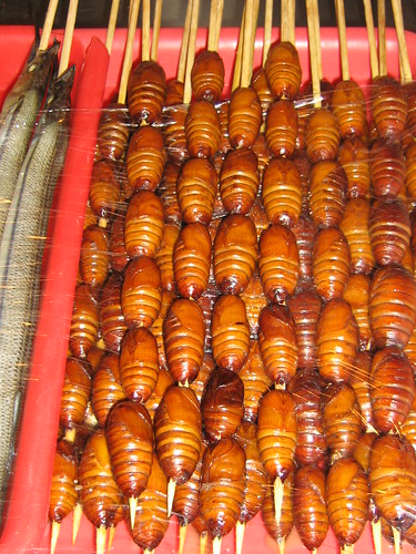 Silk worms