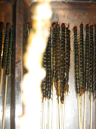 Centipede snack