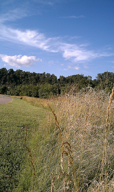 Tennessee countryside